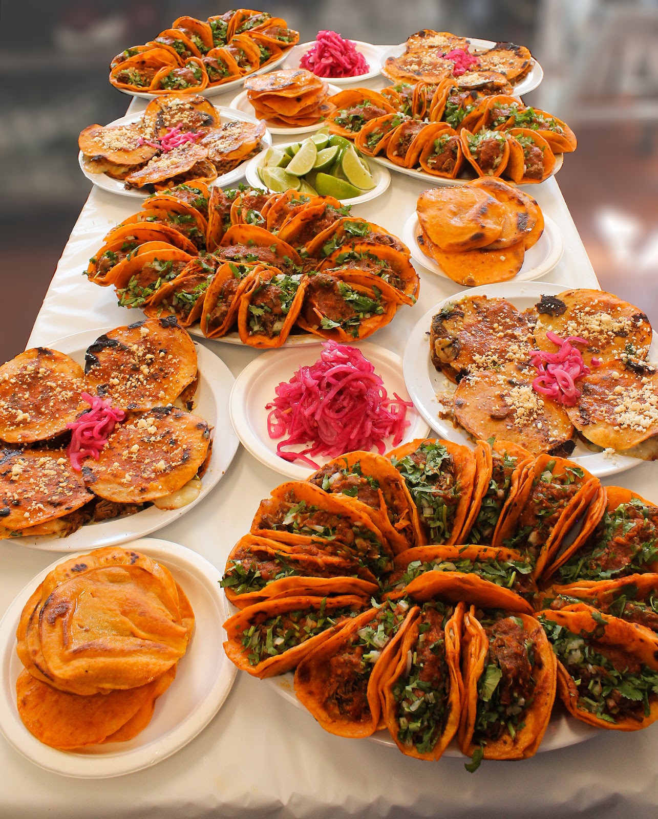 Photo of Birria-Landia