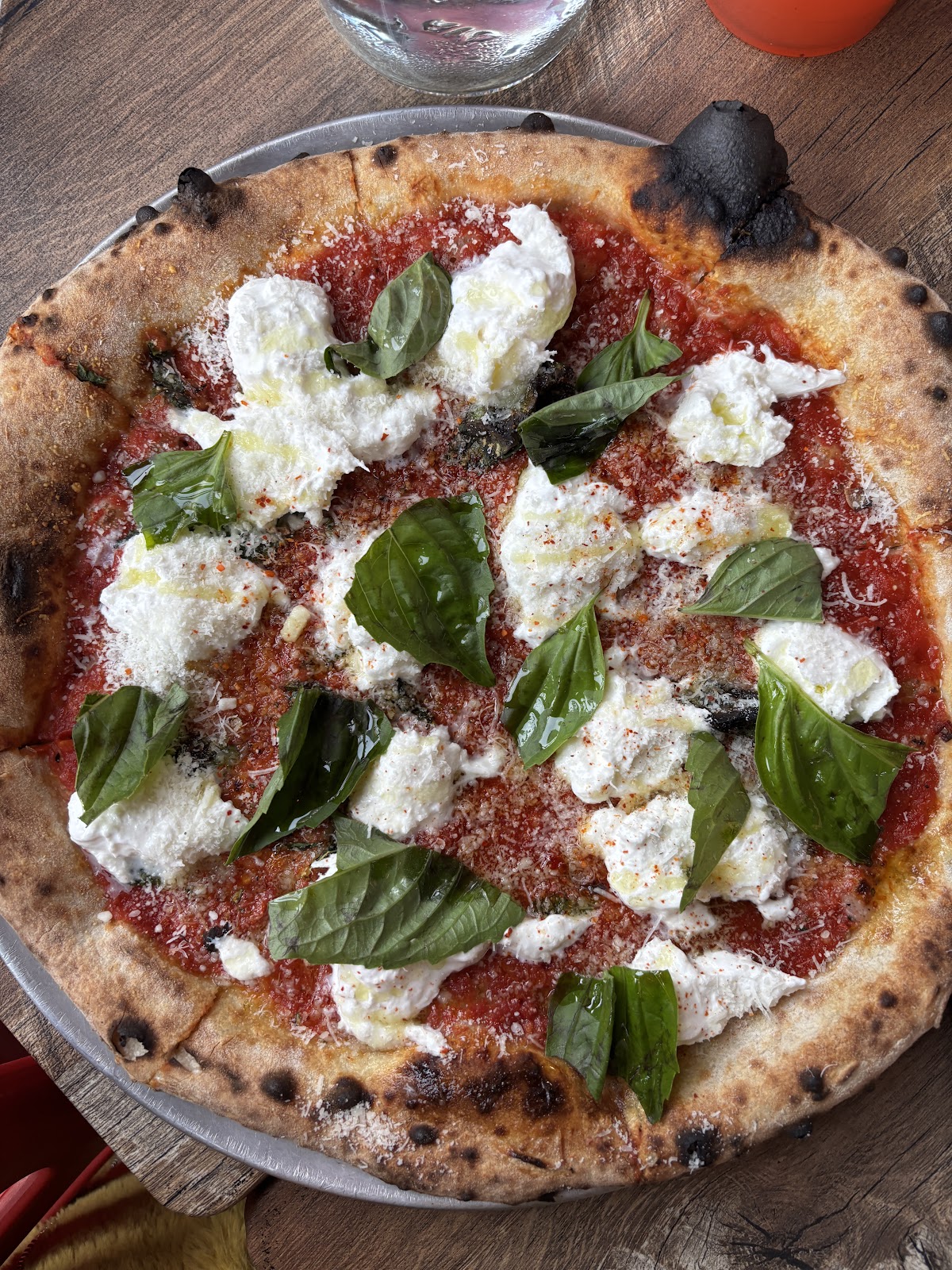 Photo of Speedy Romeo